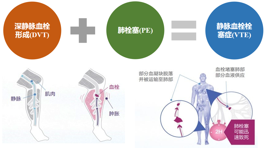 1微信截圖_20240412090457