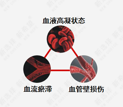2微信截圖_20240412090457